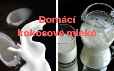 Domácí kokosové mléko