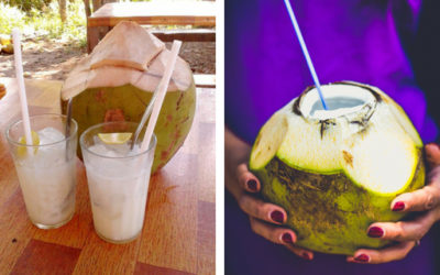 Top 3 nejlepší ovocné drinky z kokosové vody